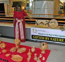 THE AFRICAN WEEK in BRUSSELS